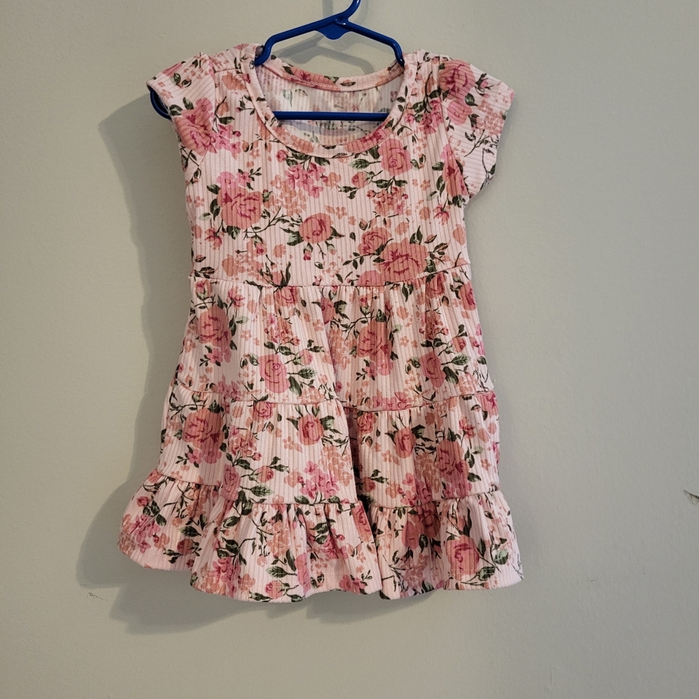 Pink rose tea party dress sz 18m